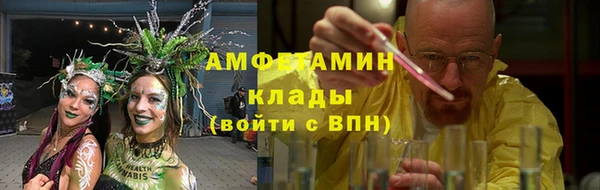 гашик Гусь-Хрустальный