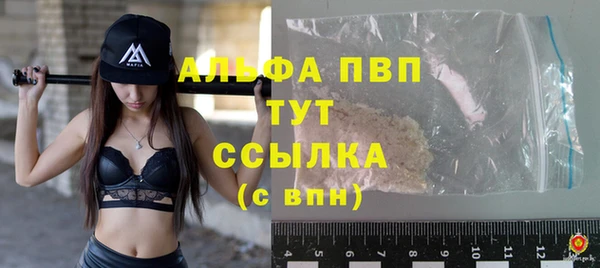 гашик Гусь-Хрустальный