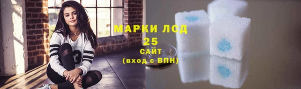 гашик Гусь-Хрустальный