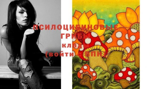 mix Гусев