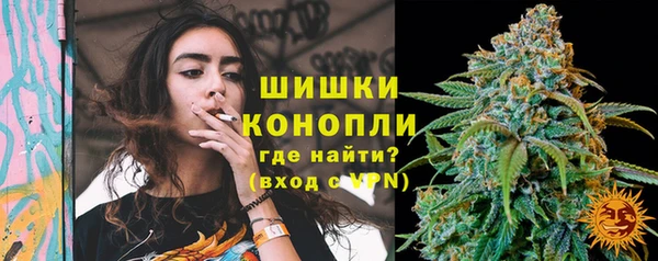 гашик Гусь-Хрустальный