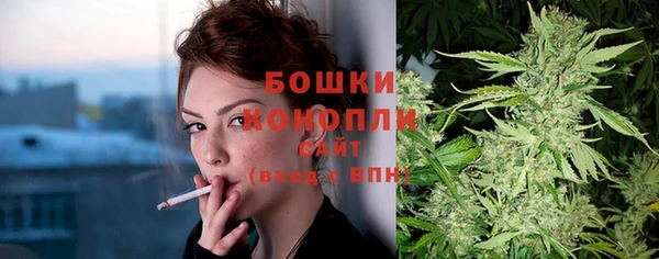 гашик Гусь-Хрустальный