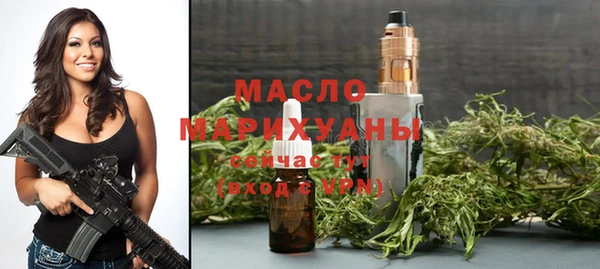гашик Гусь-Хрустальный