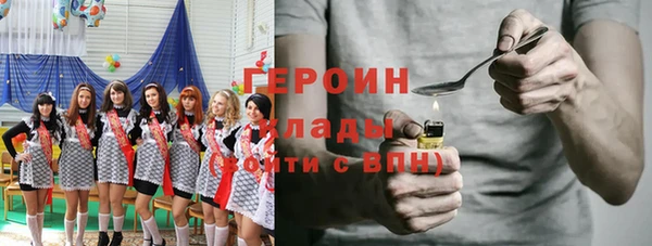 гашик Гусь-Хрустальный